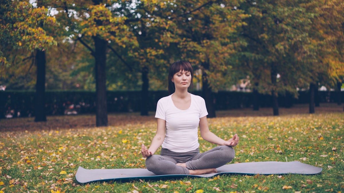 Meditation and mindfulness session